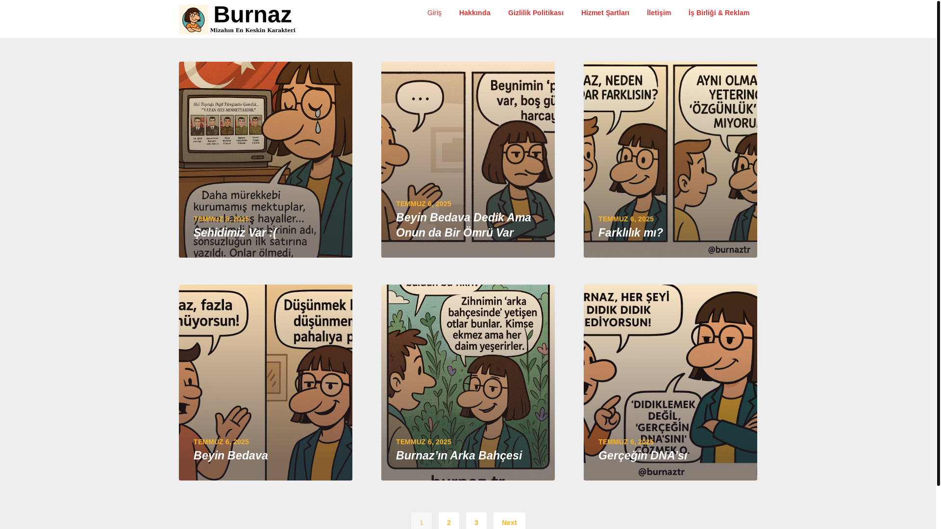 website screenshot of https://burnaz.tr