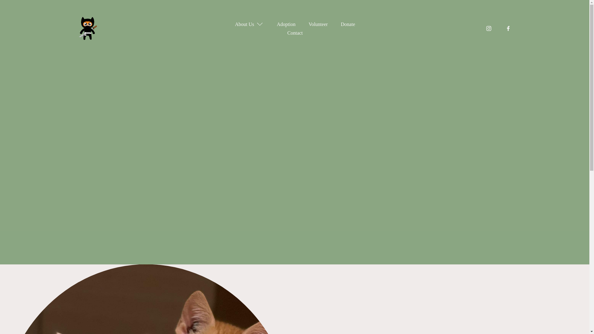 website screenshot of https://gingerninjarescue.com.au/