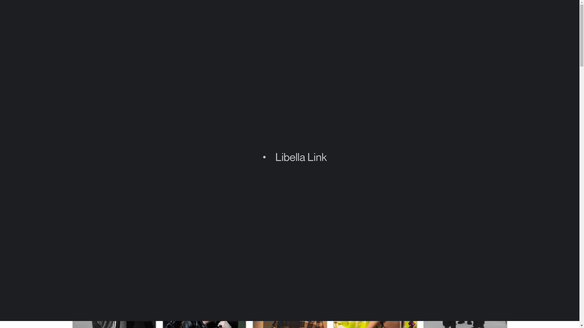 website screenshot of https://libellalink.com/