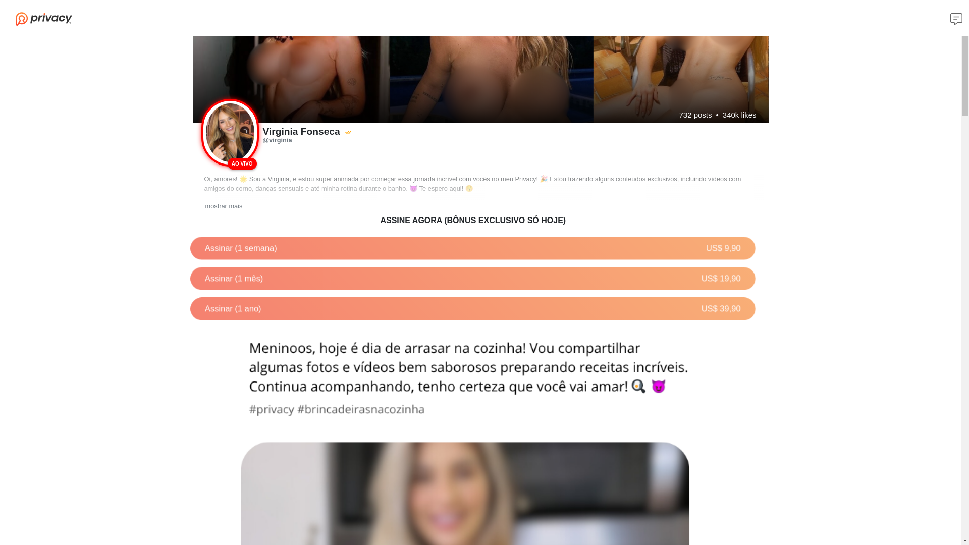 website screenshot of https://privacydavirginiafonseca.com.br/