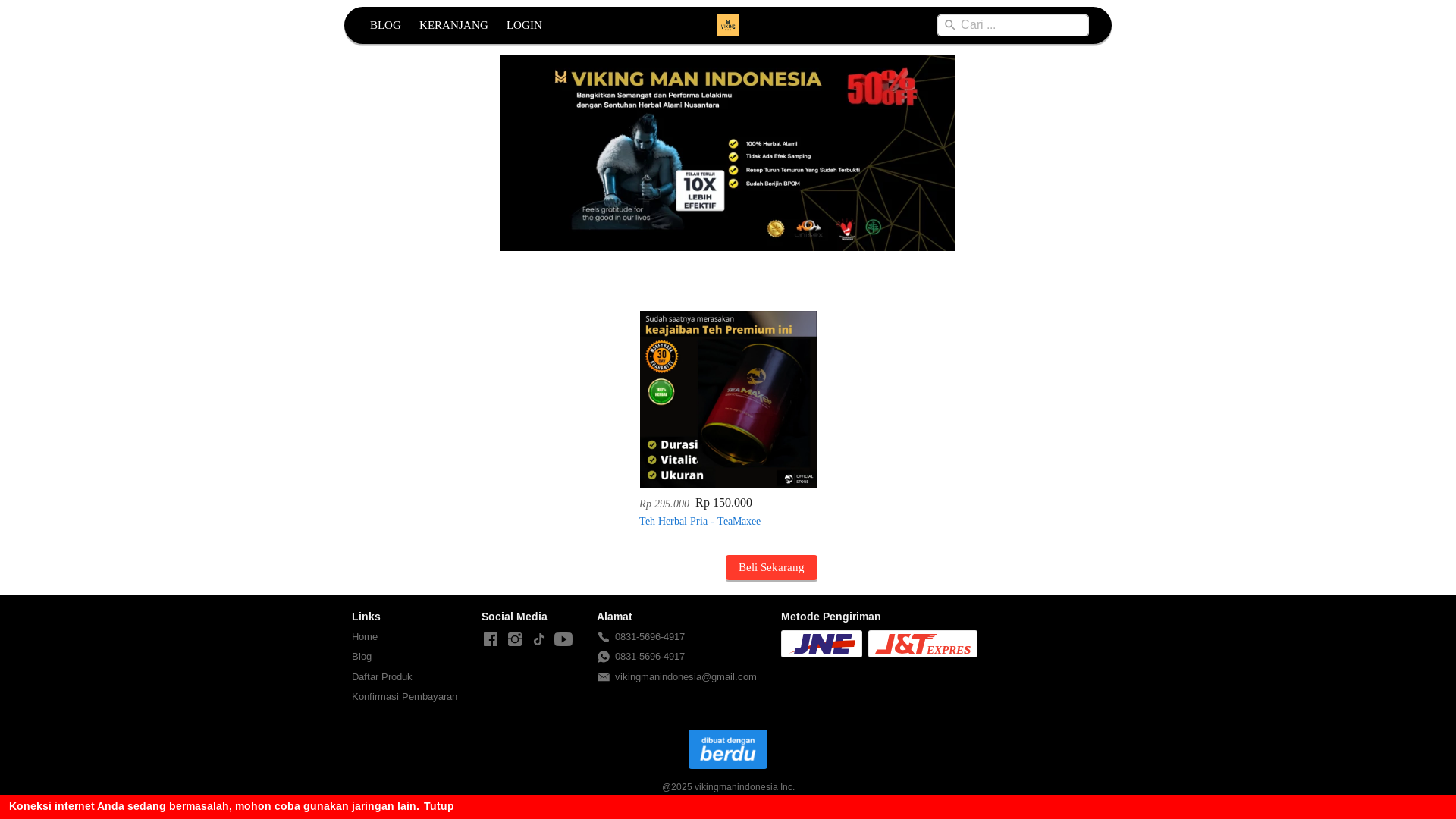 website screenshot of https://vikingmanindonesia.com/