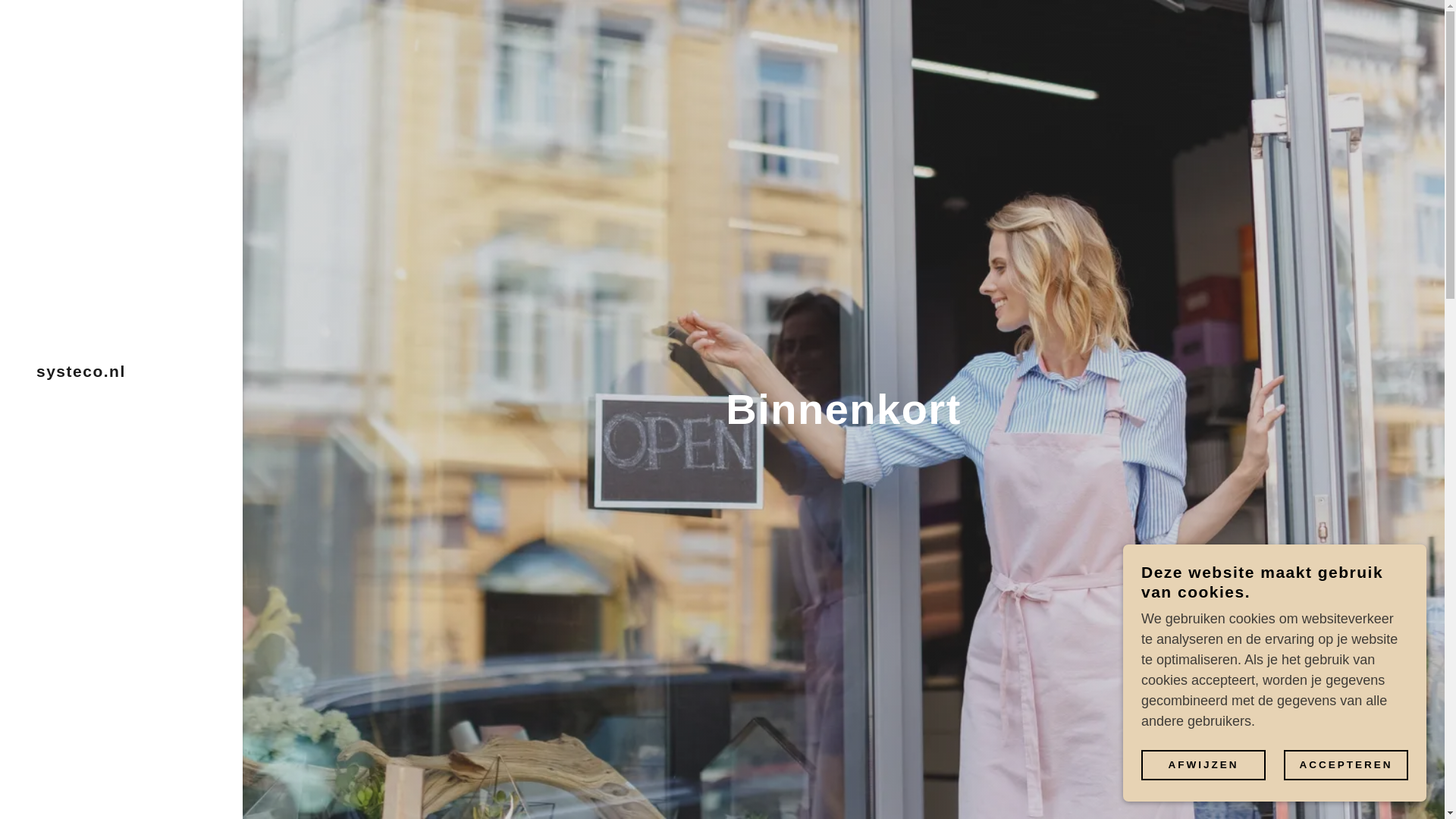 website screenshot of https://systeco.nl/