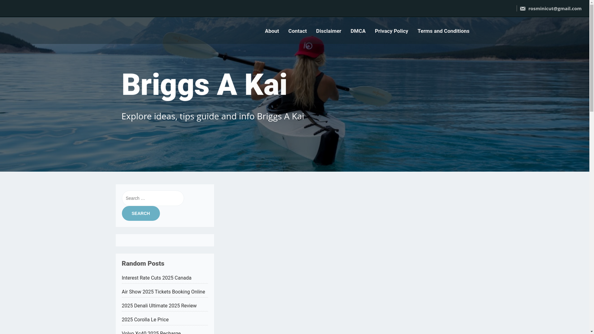 website screenshot of https://briggsakai.pages.dev/