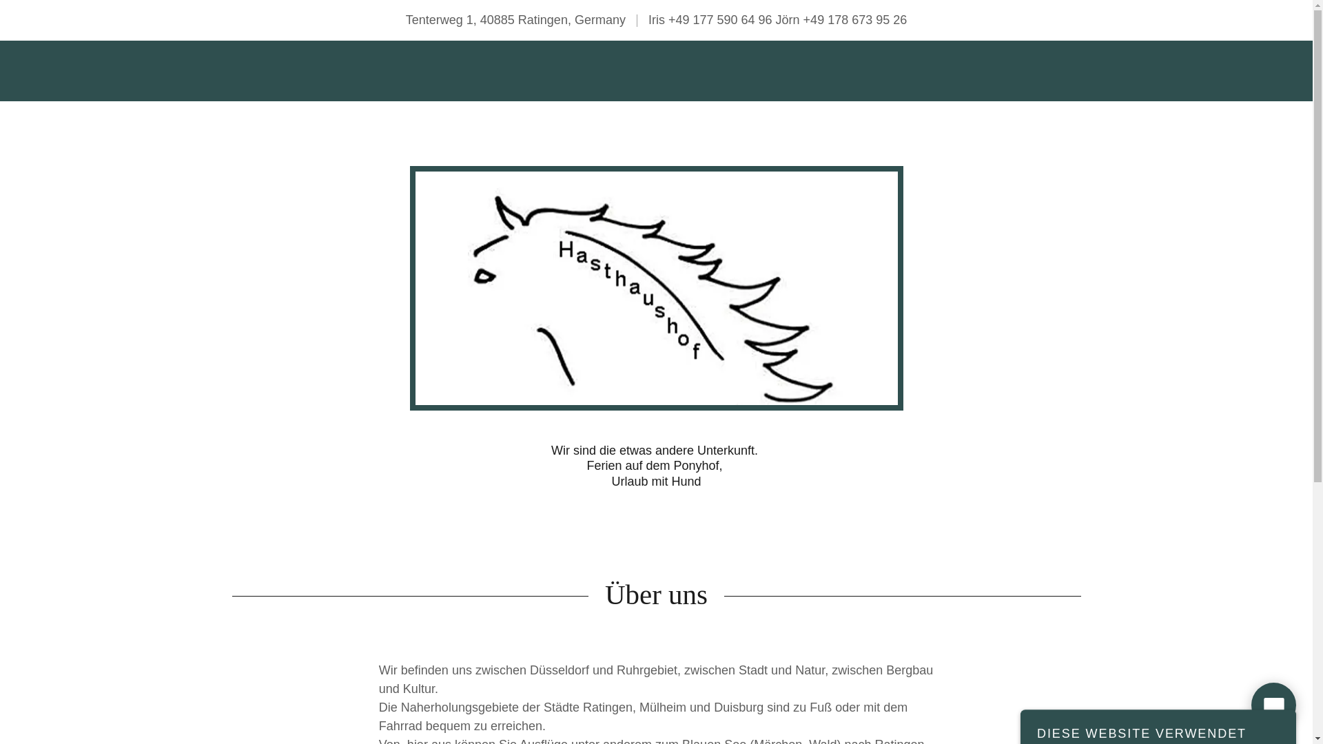 website screenshot of https://irishahne.de/