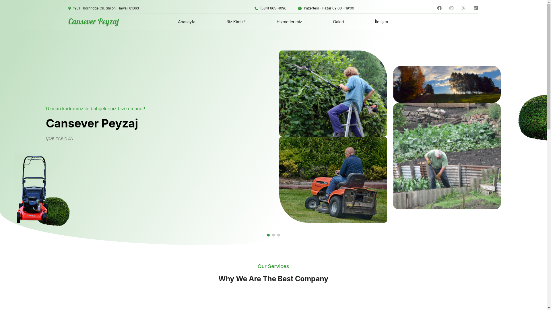 website screenshot of https://canseverpeyzaj.com/
