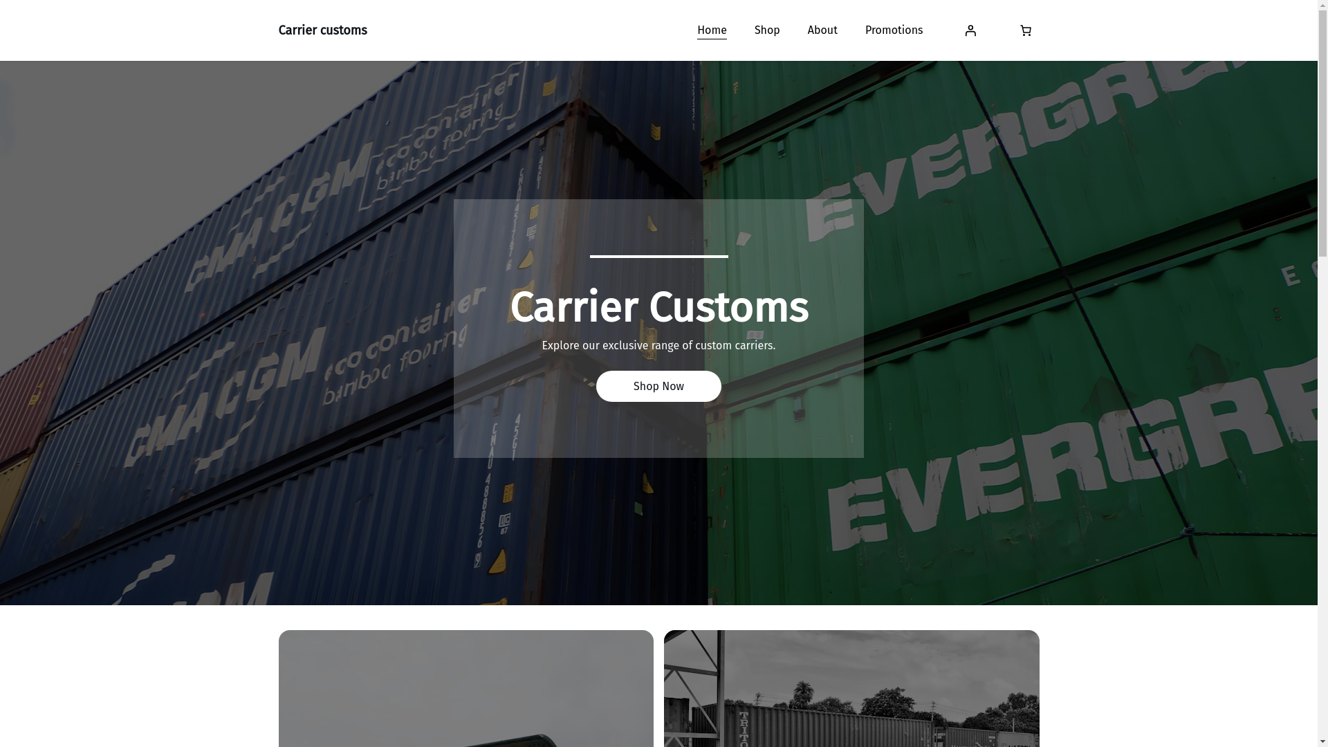 website screenshot of https://carriercustoms.shop/