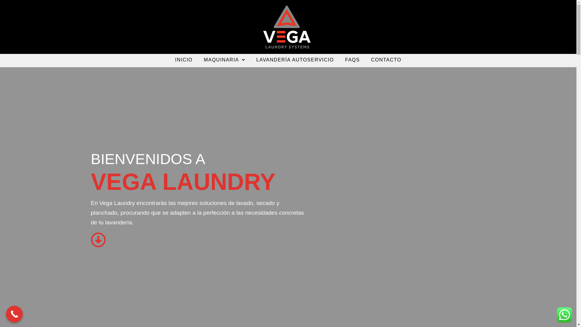 website screenshot of https://vegalaundry.es/