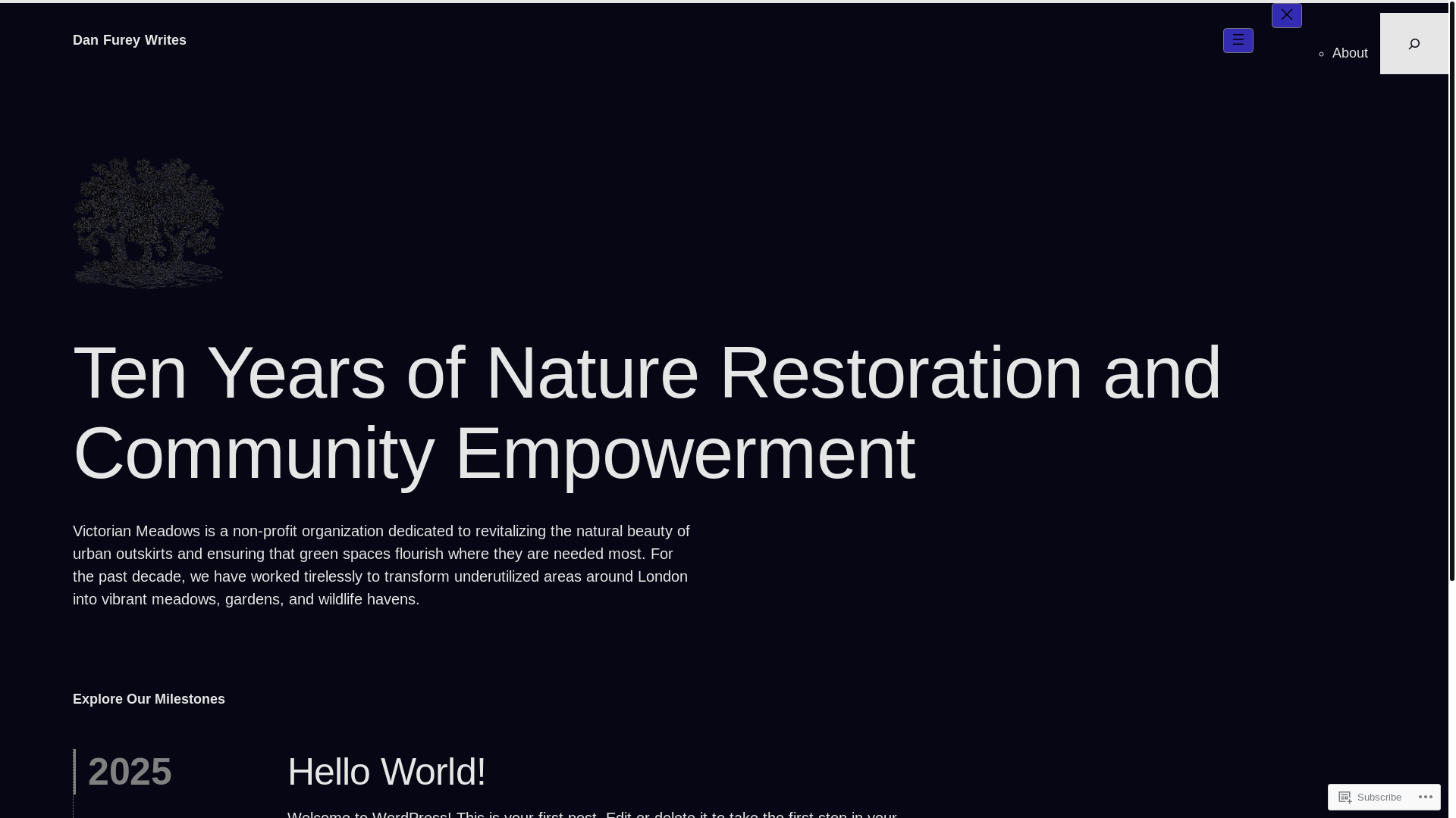 website screenshot of https://danfureywrites.com/