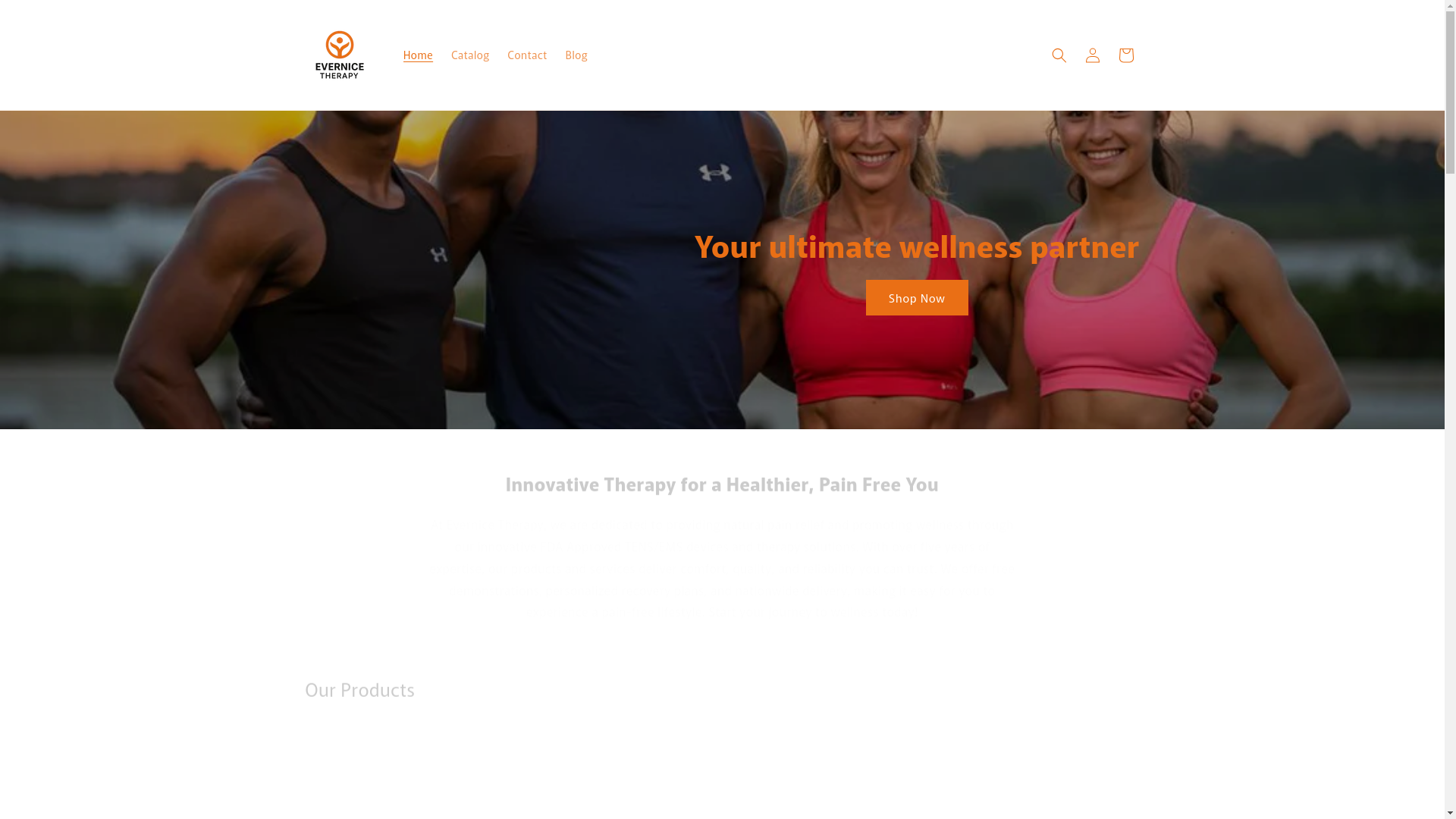 website screenshot of https://evernicetherapy.com/