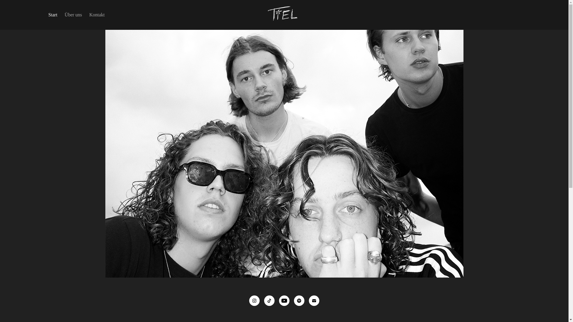 website screenshot of https://tiel-band.com/