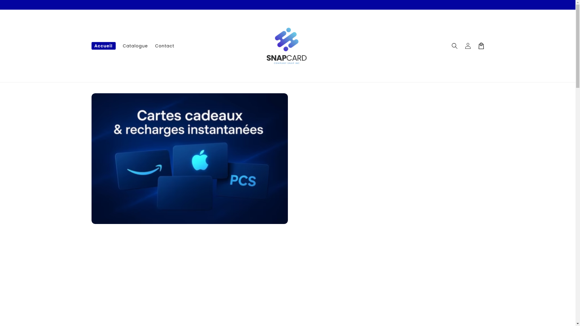 website screenshot of https://snap-card.fr/