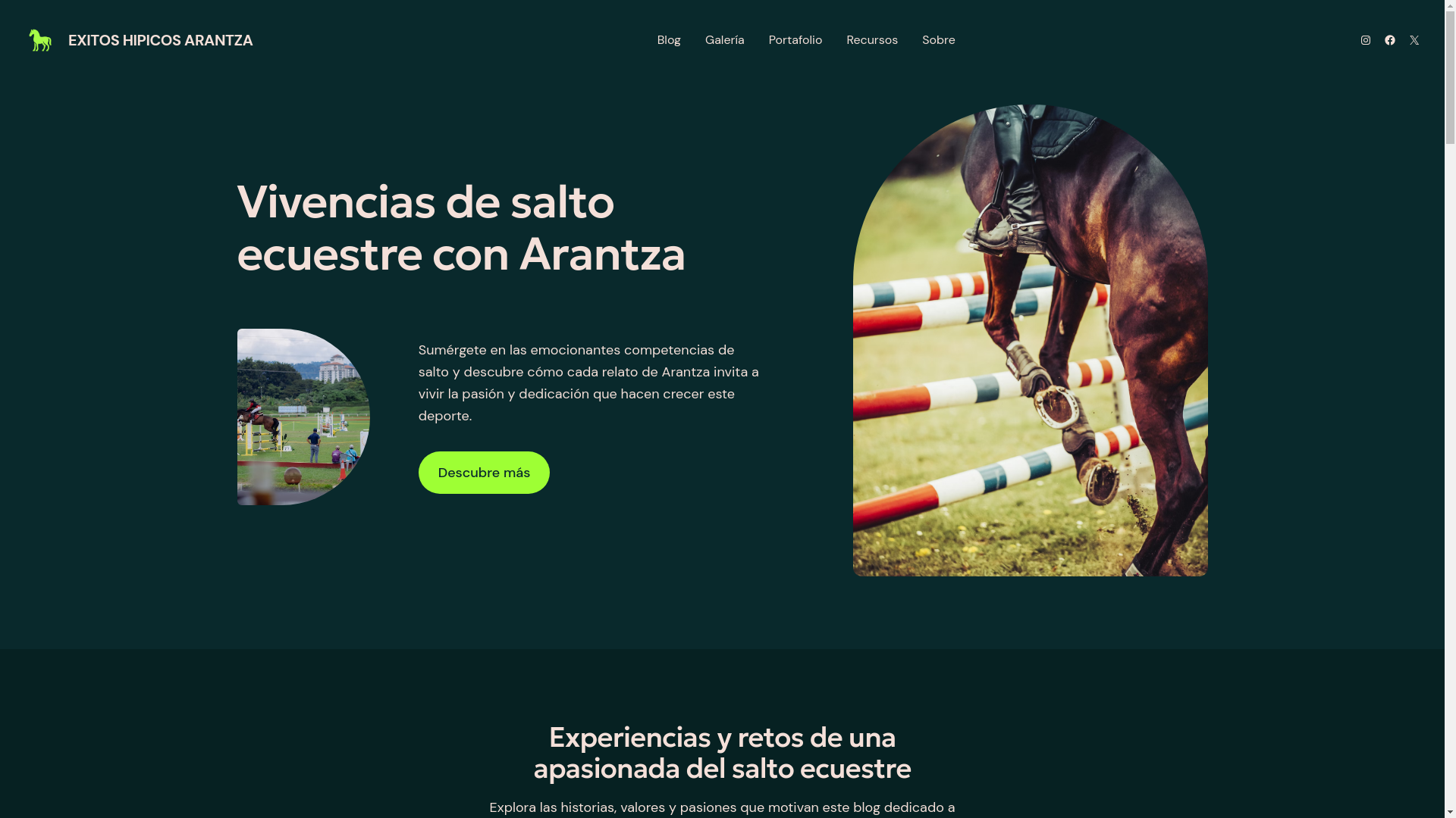 website screenshot of https://arantzaenaccion.es/