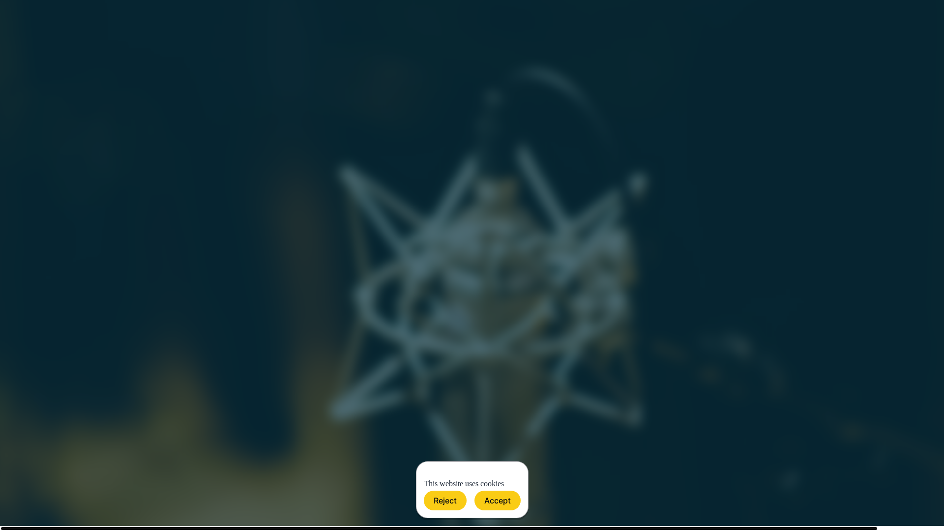 website screenshot of https://larisvoce.it/