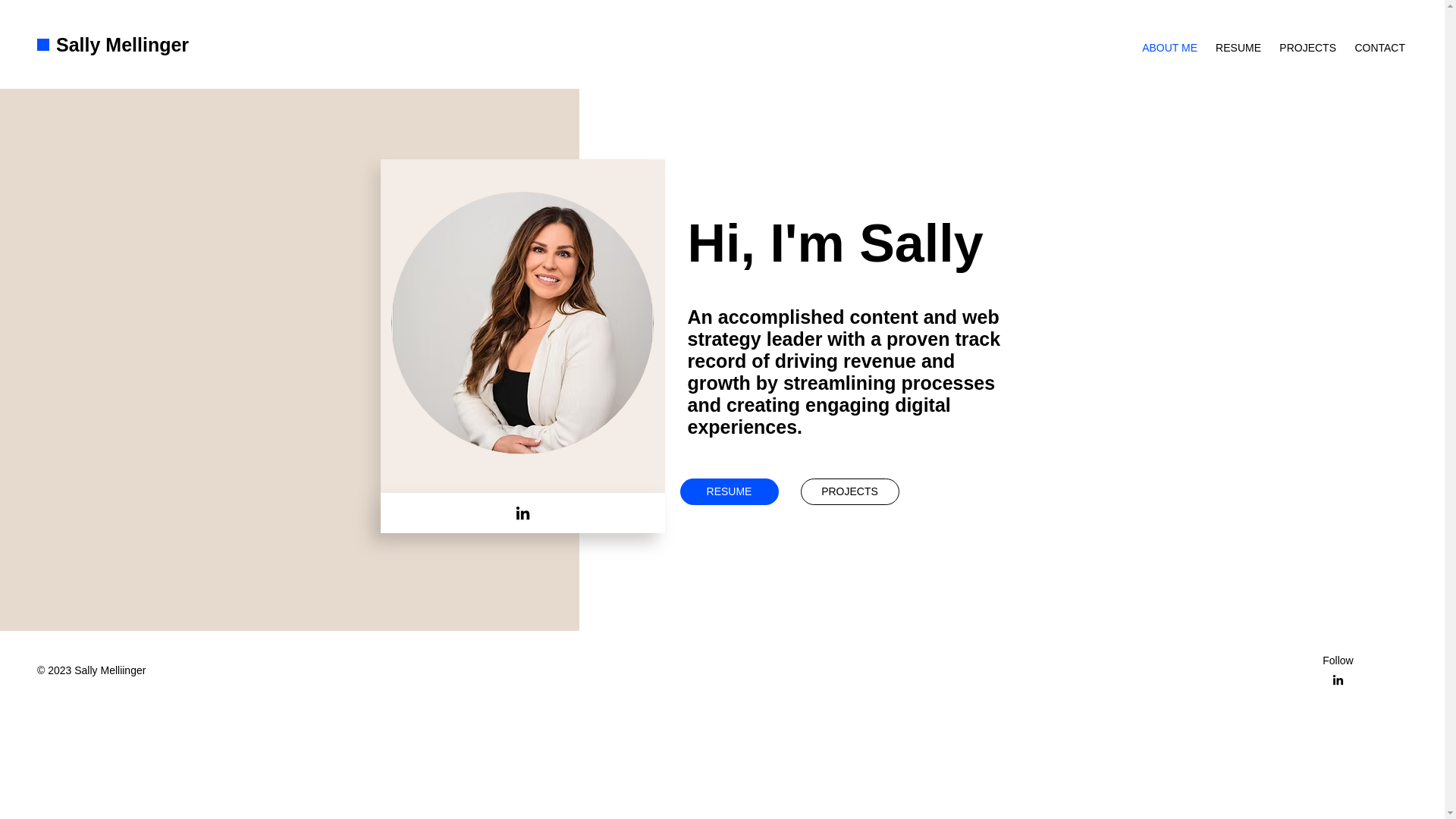 website screenshot of https://sallym.info/