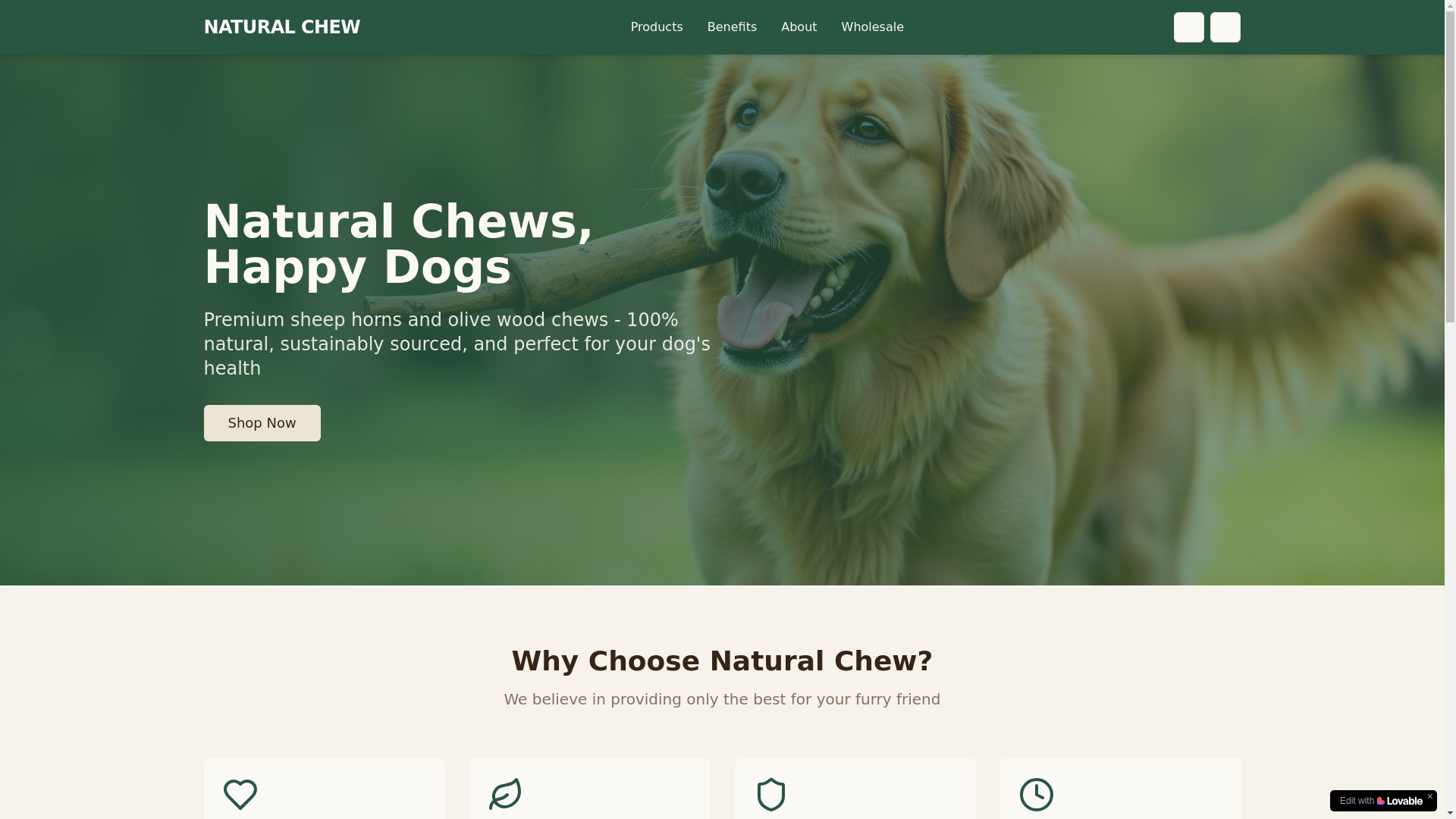 website screenshot of https://gooddogchews.shop/