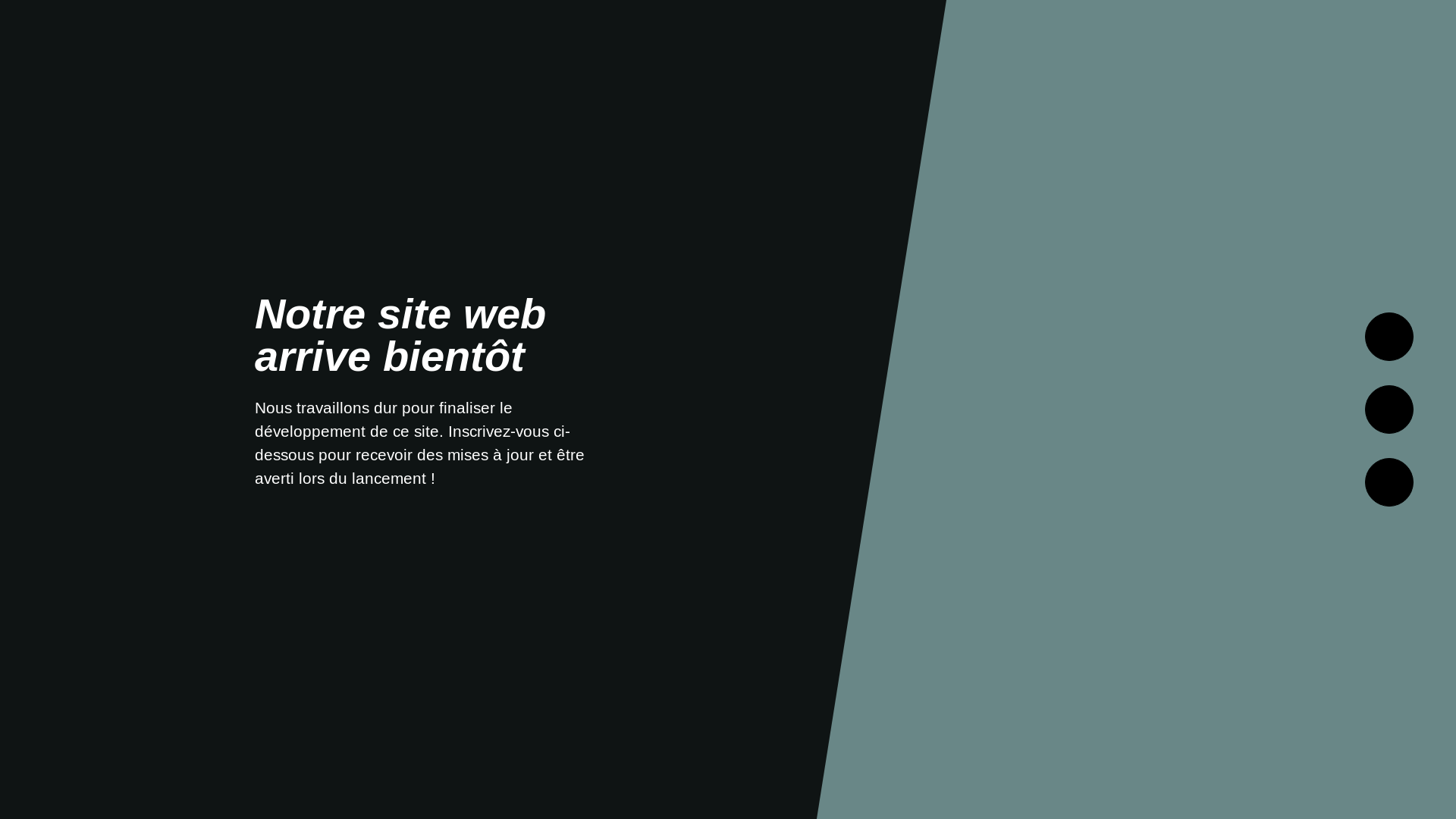 website screenshot of https://bobmusungu.com/