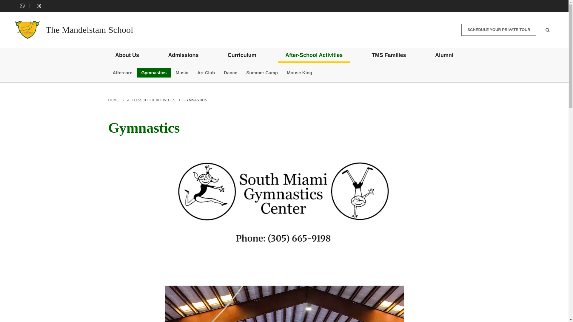 website screenshot of https://southmiamigym.com/