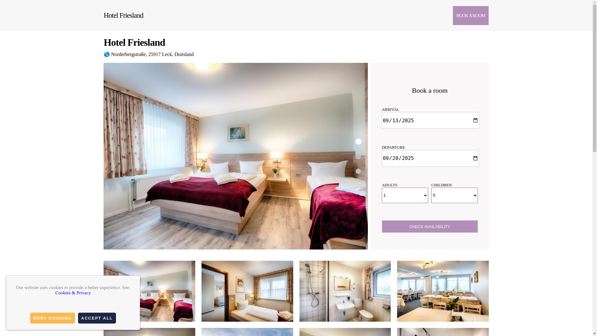 website screenshot of https://hotel-friesland.org.es/