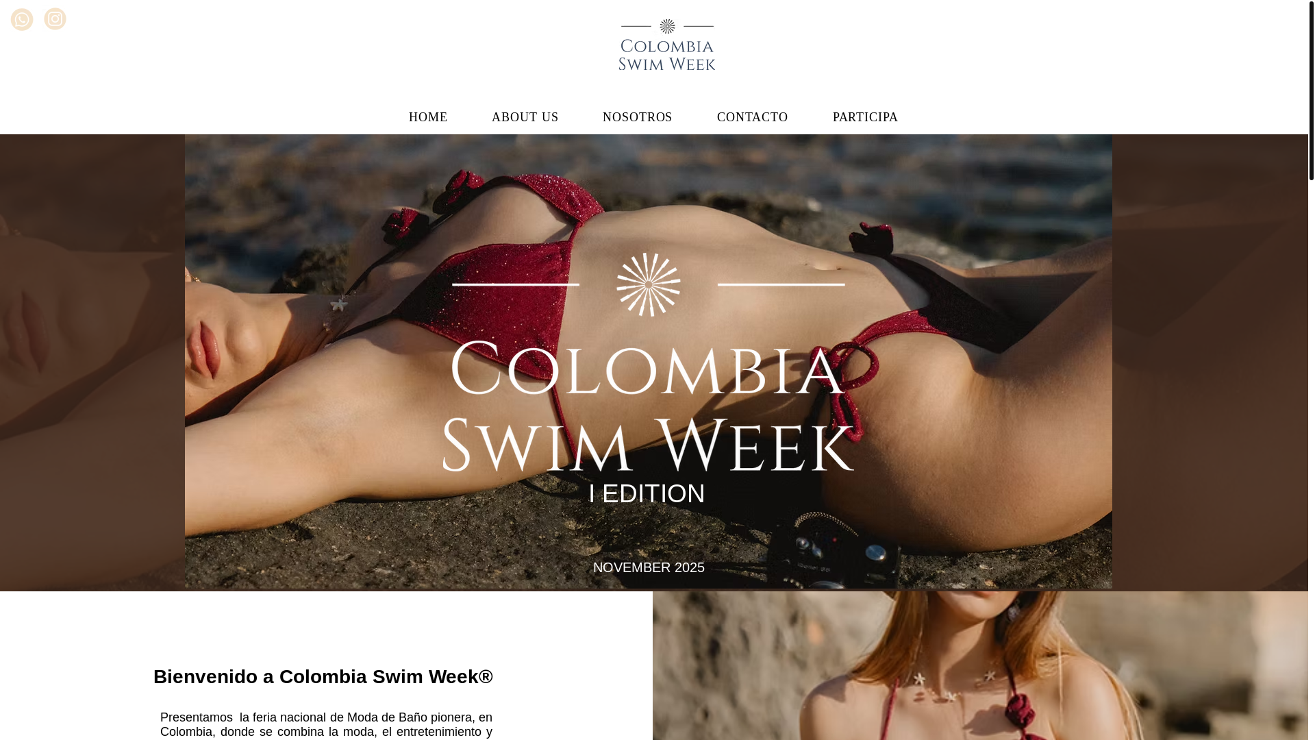 website screenshot of https://tulum-swimeek.com/