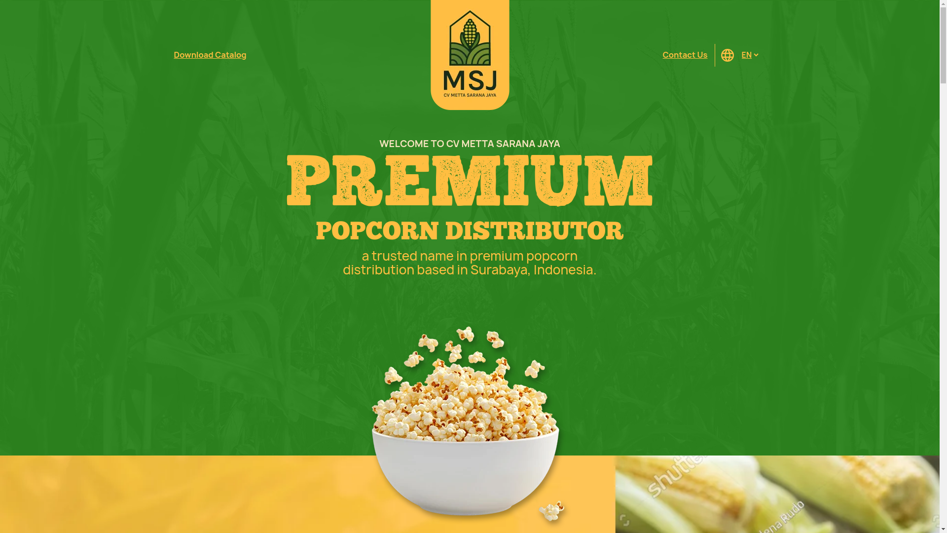 website screenshot of https://mettasaranajaya.com/
