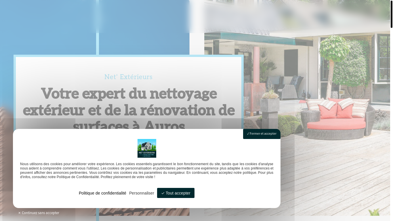 website screenshot of https://netexterieurs.fr/