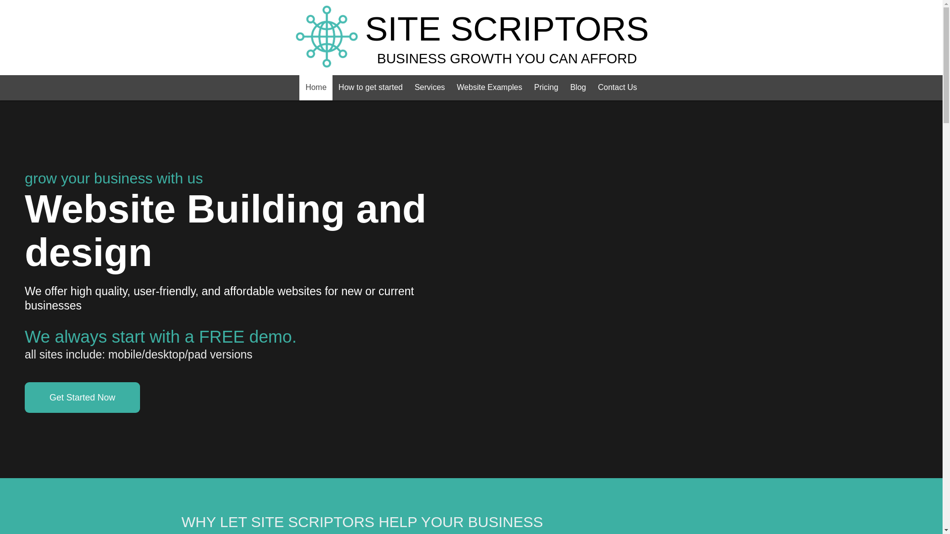 website screenshot of https://sitescriptor.com/