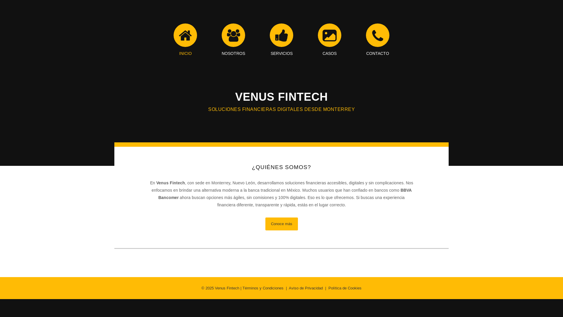 website screenshot of https://venusfintech.top/