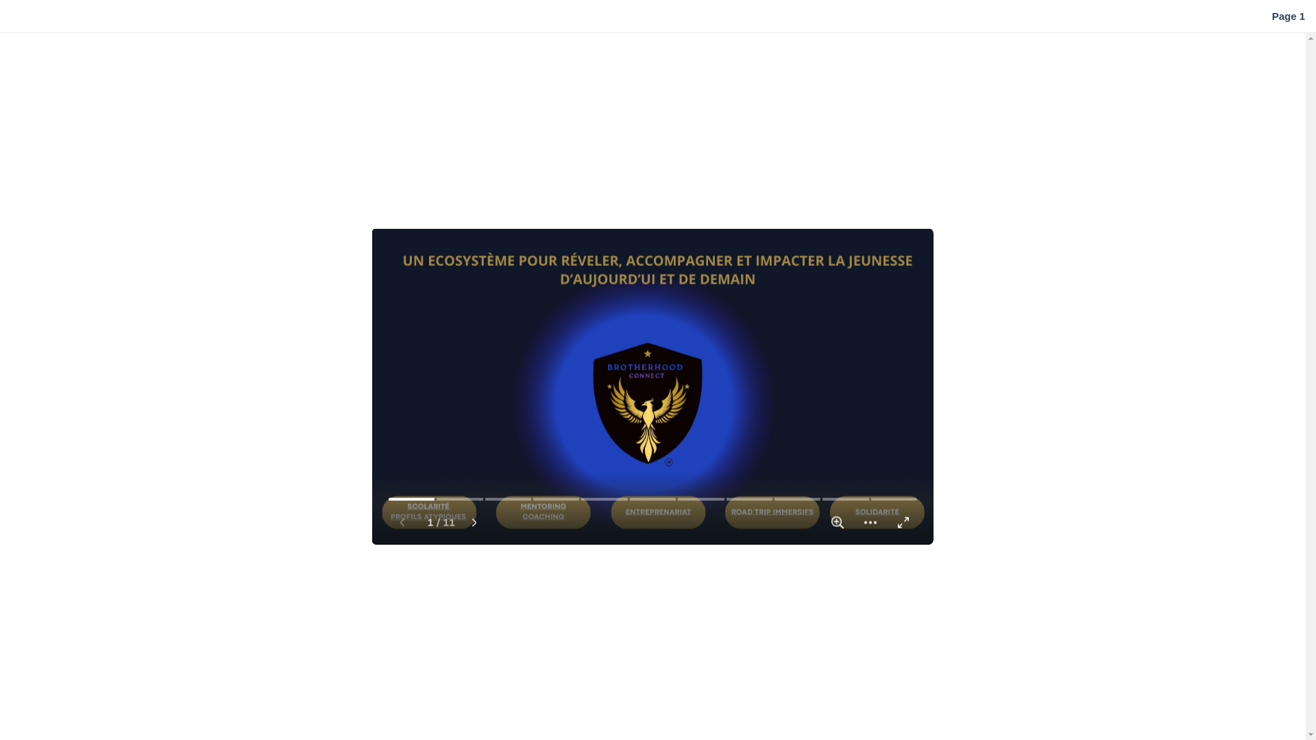 website screenshot of https://brotherhoodconnect.org/