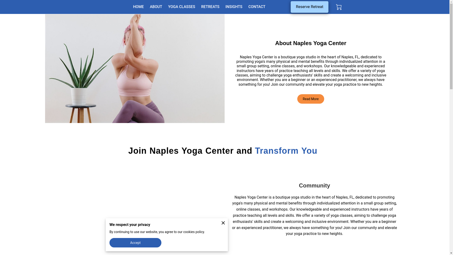 website screenshot of https://naplesyogaandmovementschool.com/