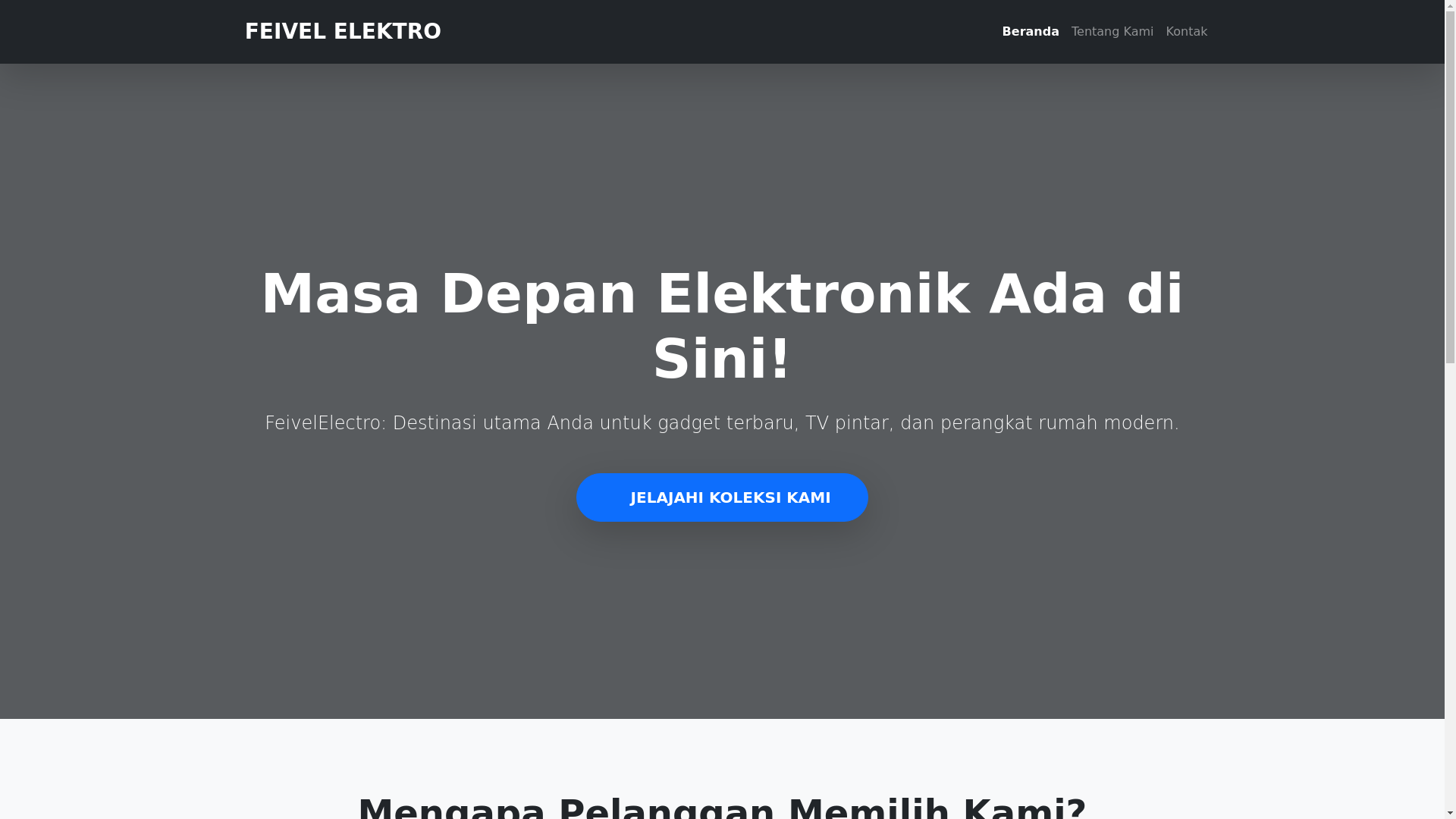 website screenshot of https://feivelelektro.store/