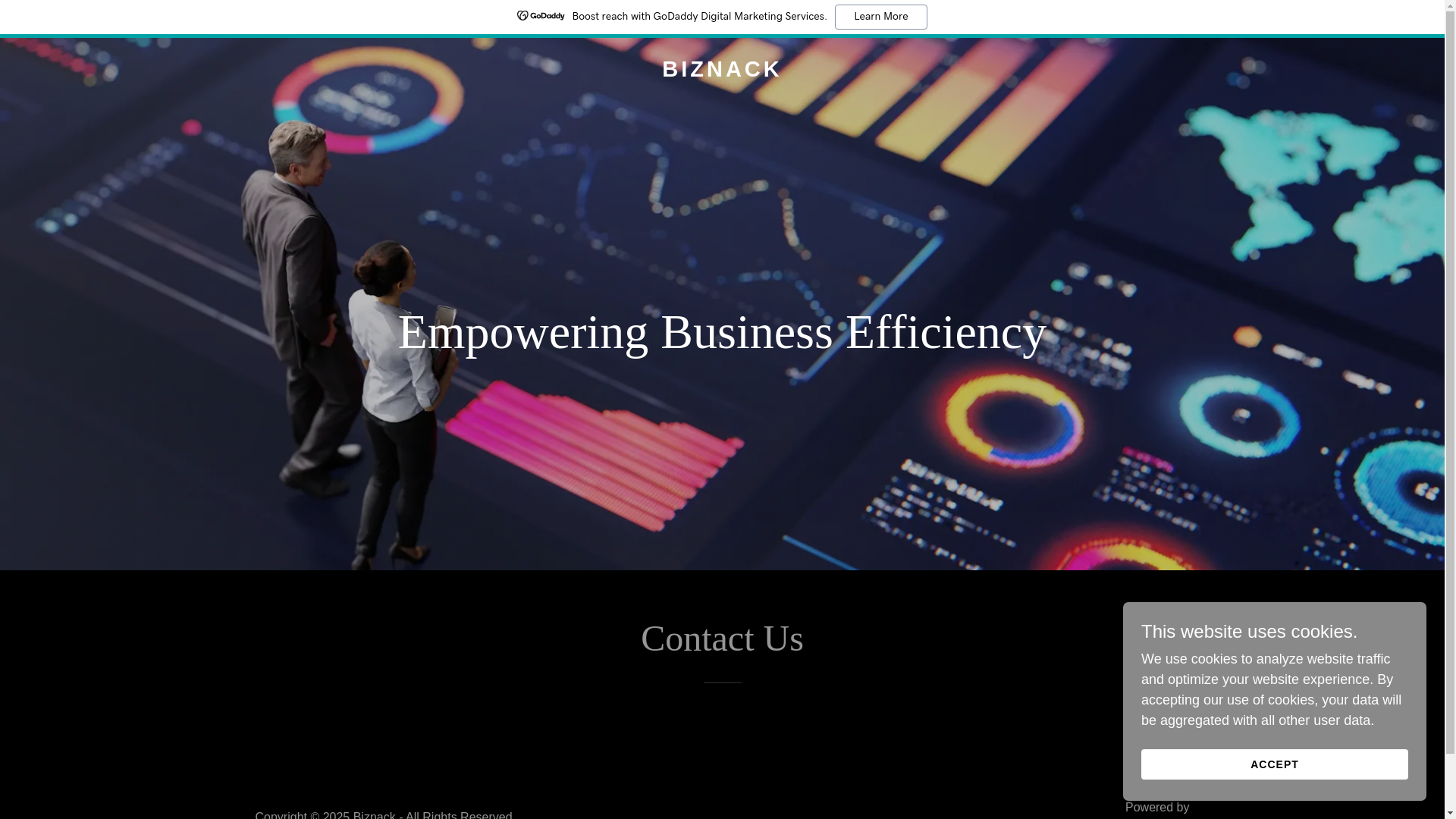 website screenshot of https://biznack.in/