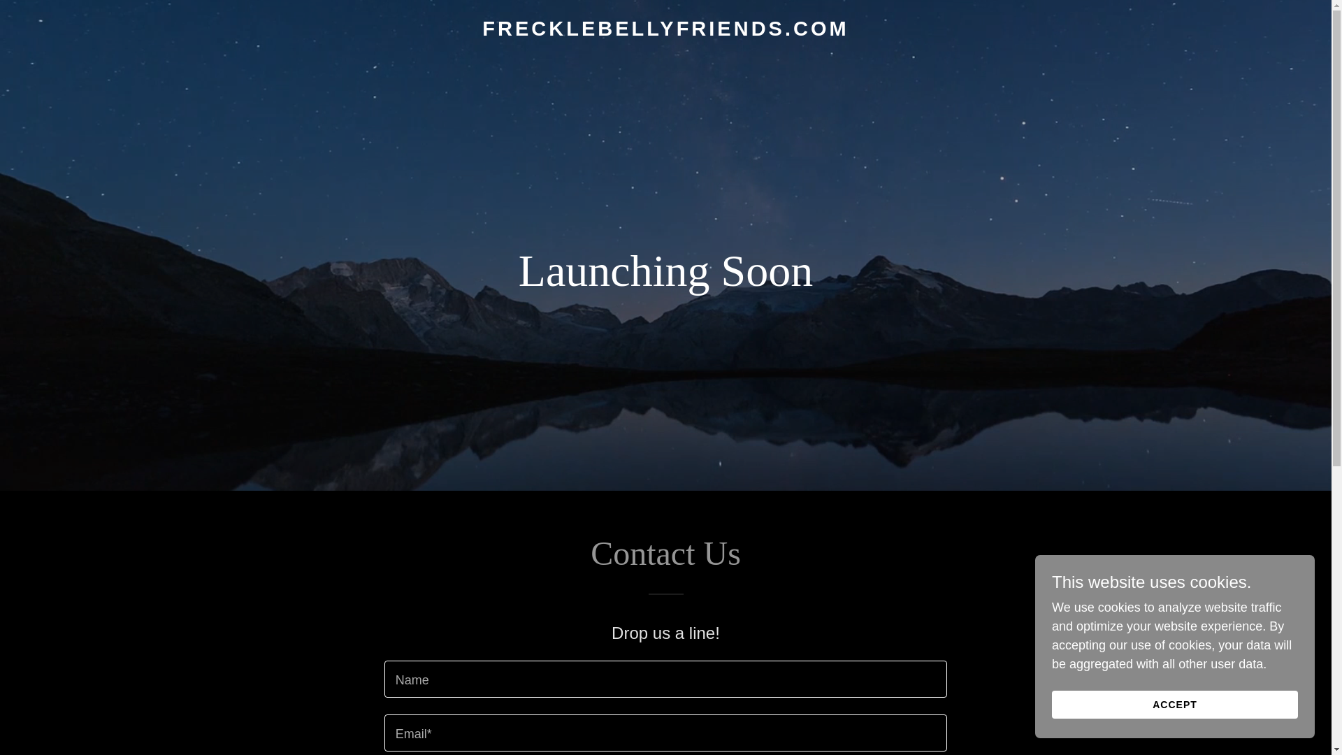 website screenshot of https://frecklebellyfriends.com/