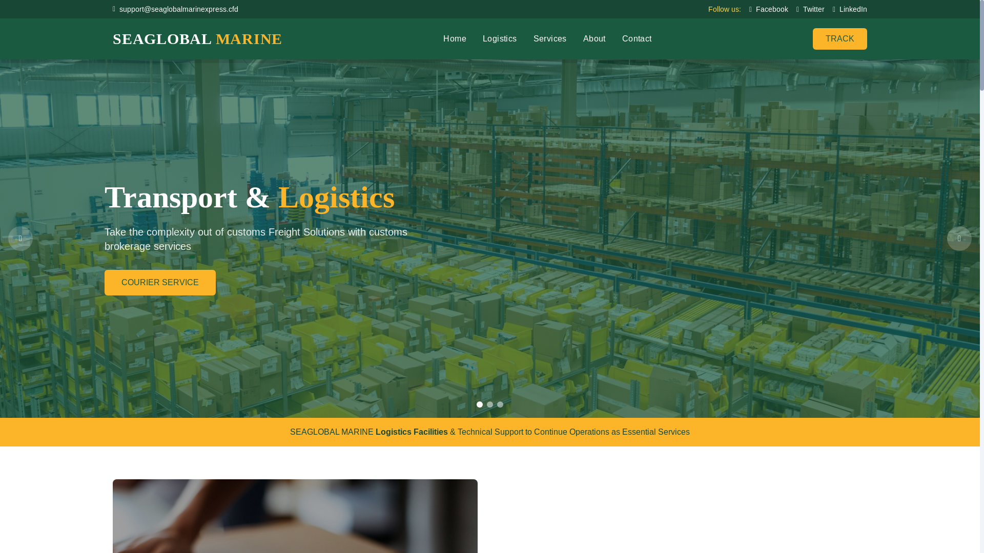 website screenshot of https://seaglobalmarinexpress.cfd/