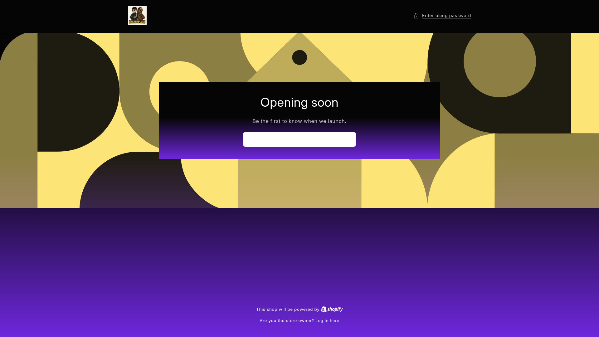 website screenshot of https://bachemplugz.com/
