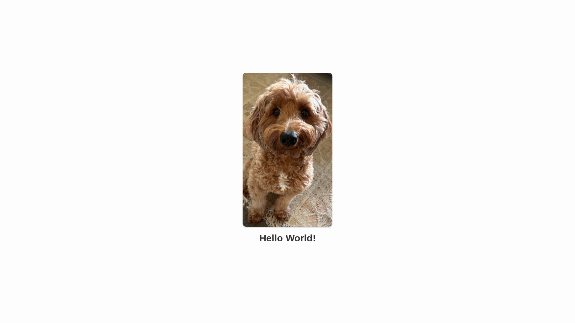 website screenshot of https://scooty-the-dood.pages.dev/