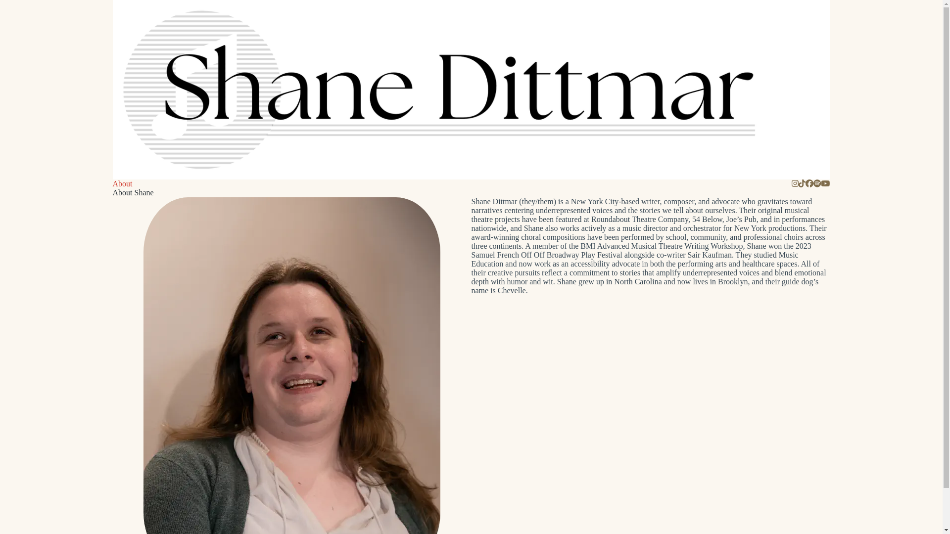 website screenshot of https://shanedittmar.pages.dev/
