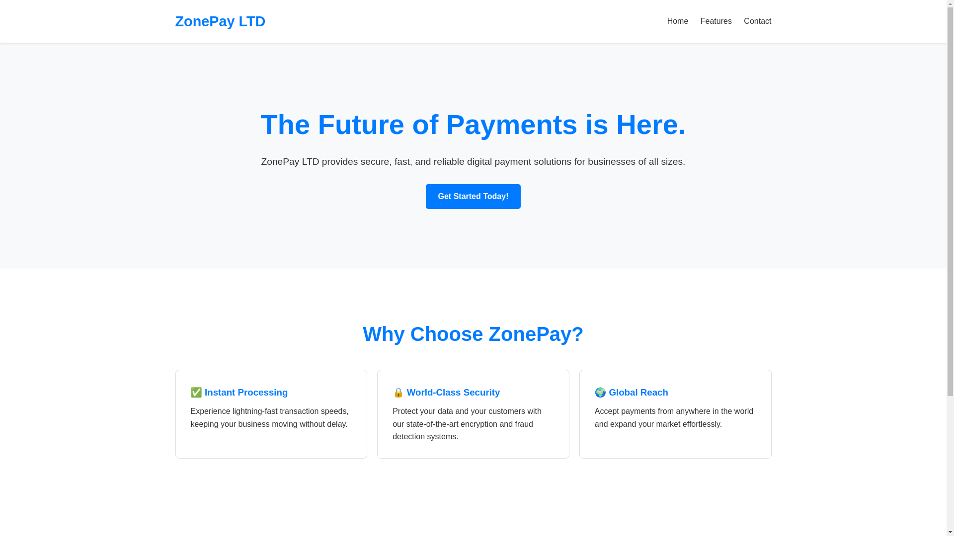 website screenshot of https://zonepayltd.blog/