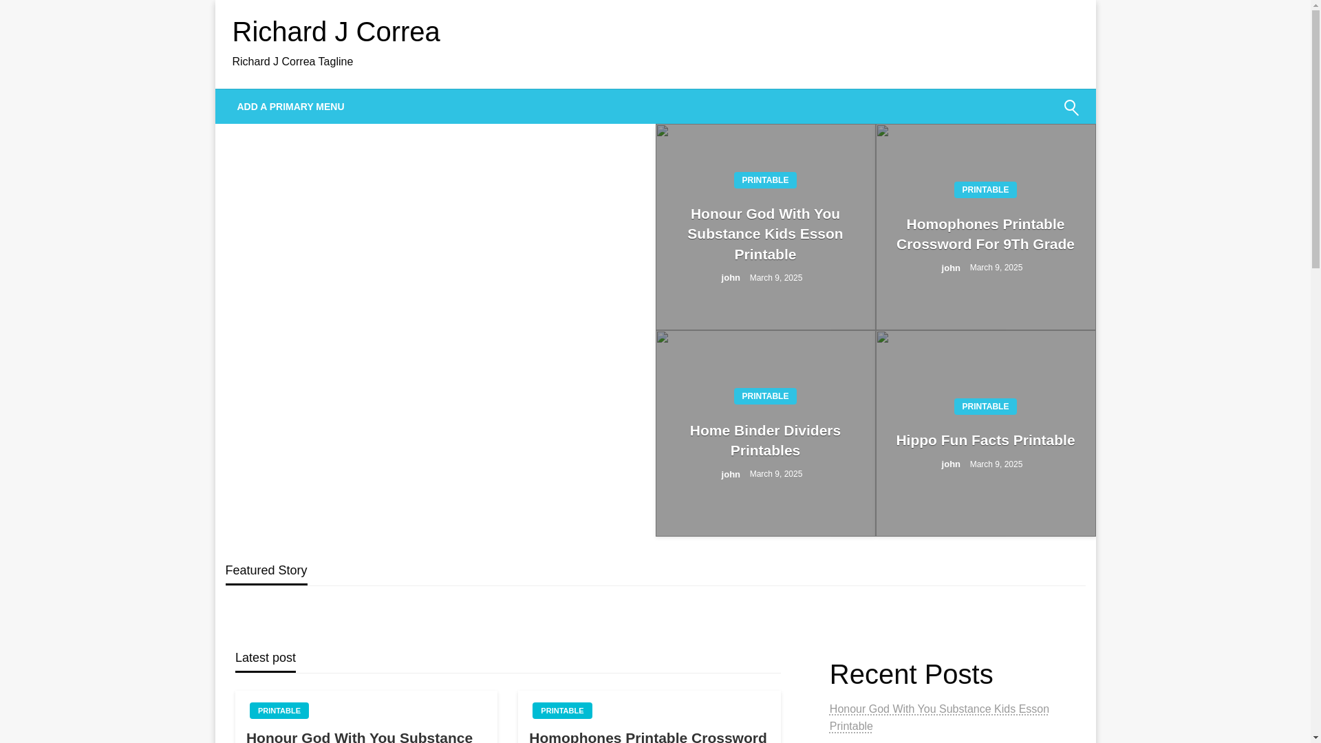 website screenshot of https://richardjcorreaj.pages.dev/