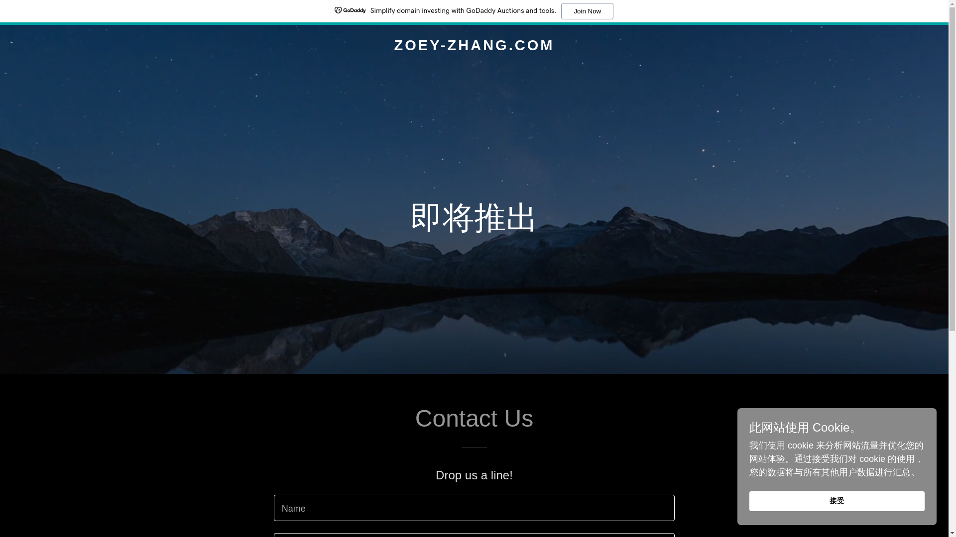website screenshot of https://zoey-zhang.com/