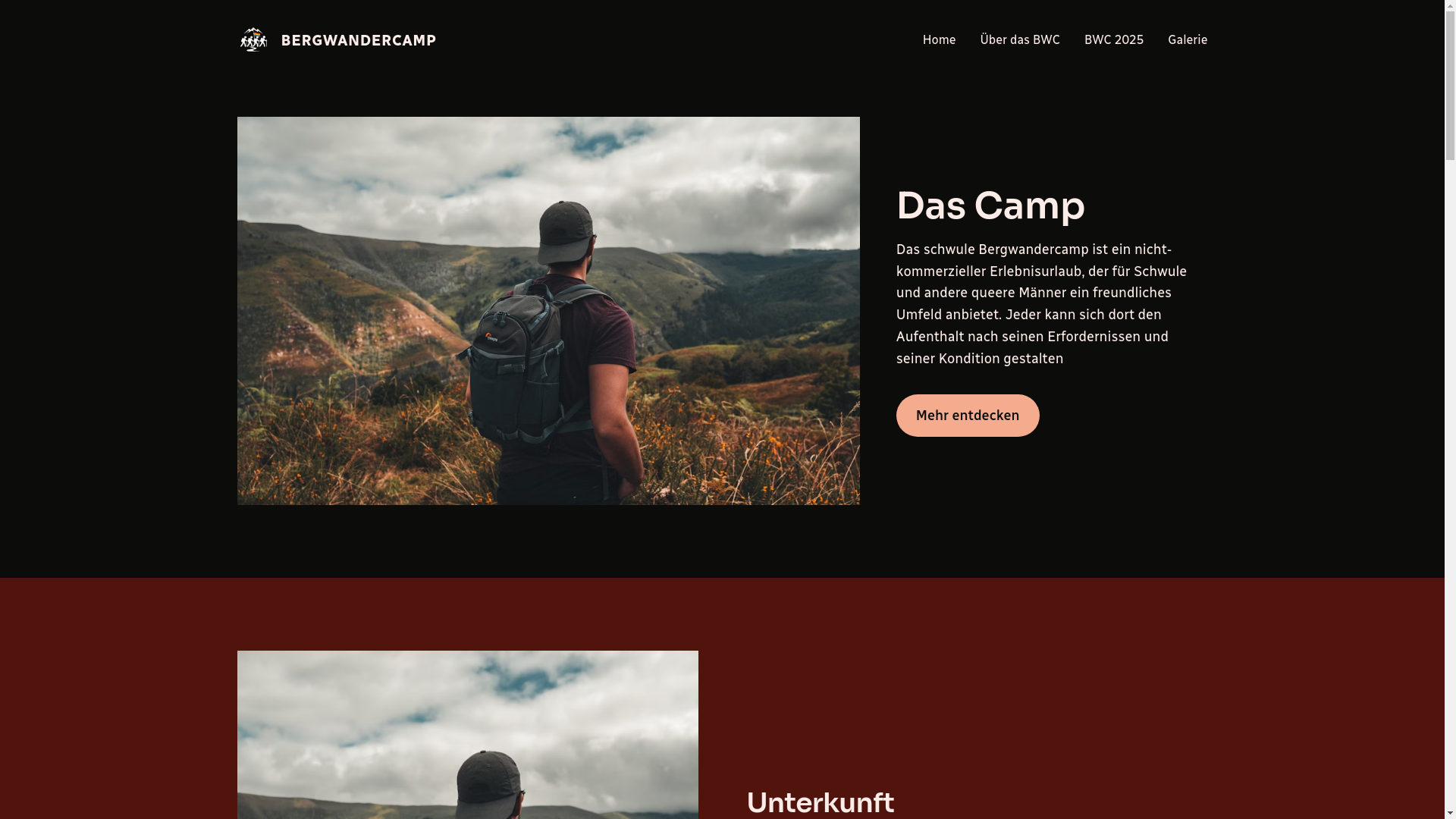 website screenshot of https://tim-negele.de/