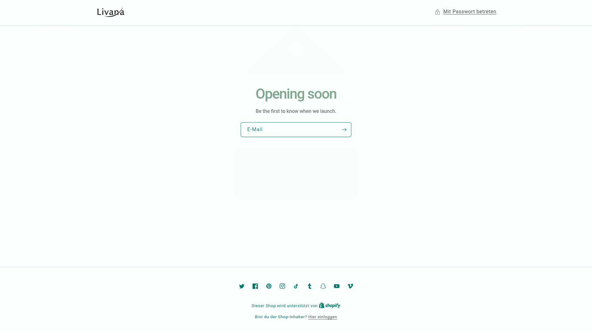 website screenshot of https://livanashop.de/