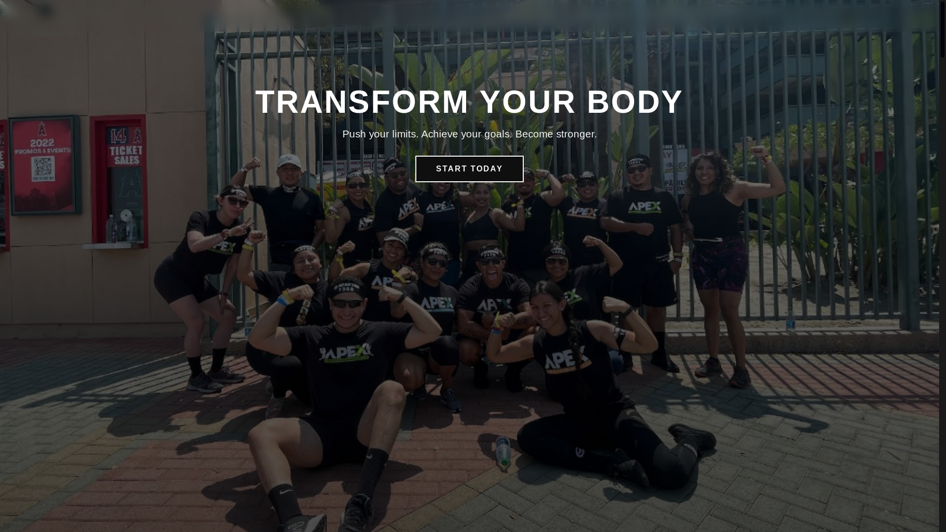 website screenshot of https://apextemplate.pages.dev/