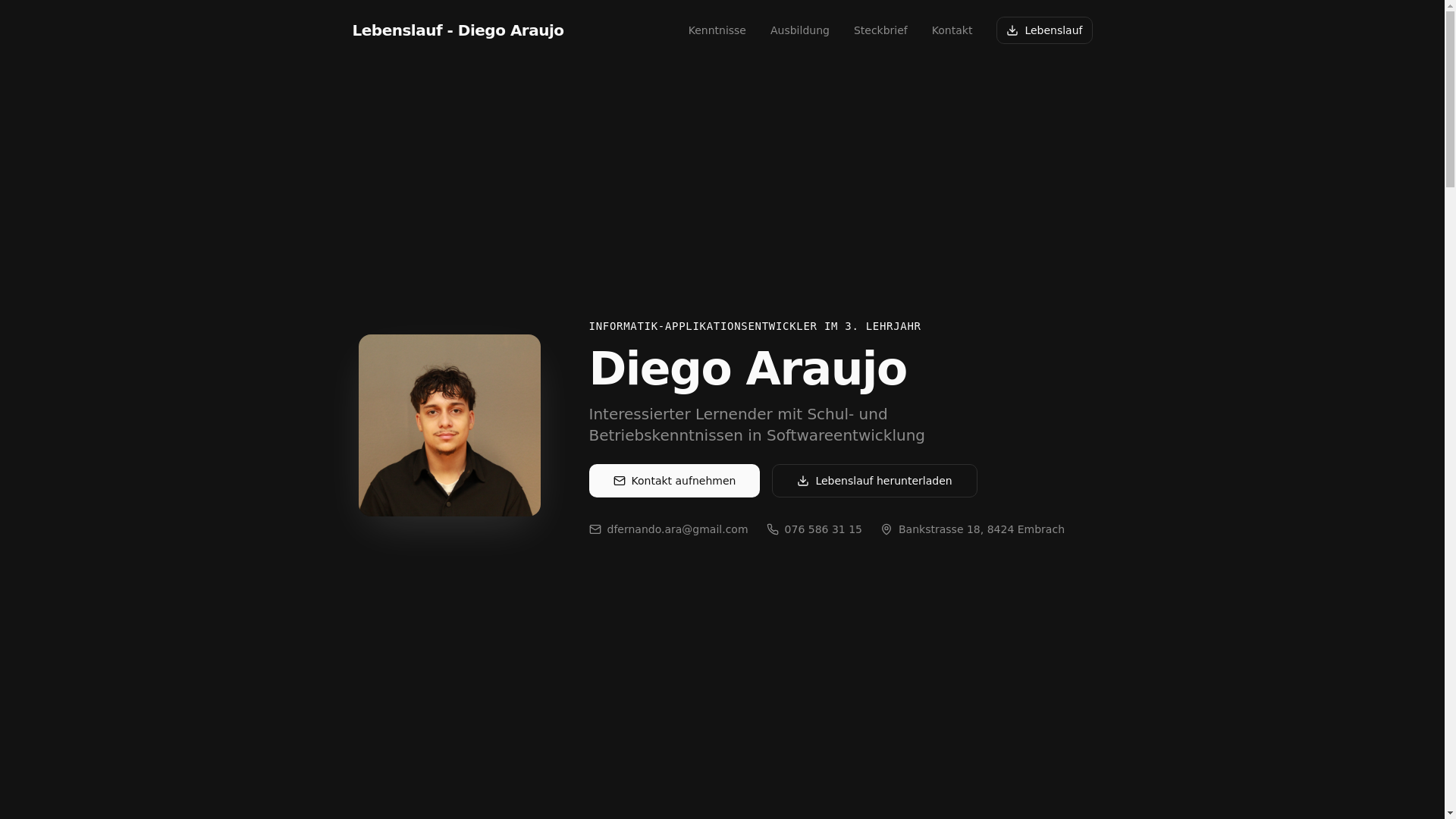 website screenshot of https://diegoaraujo.ch/