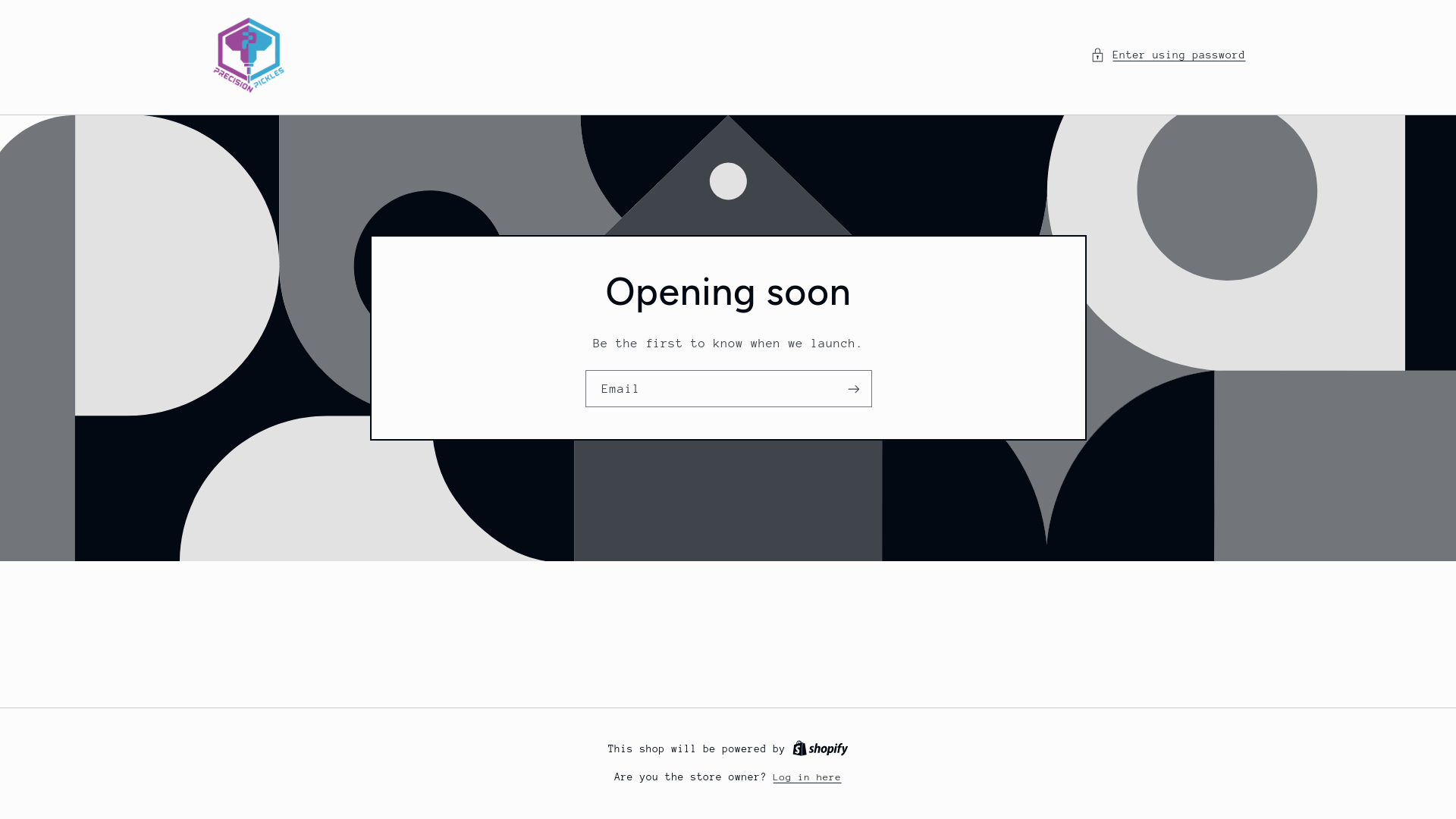 website screenshot of https://precisionpickles.com/