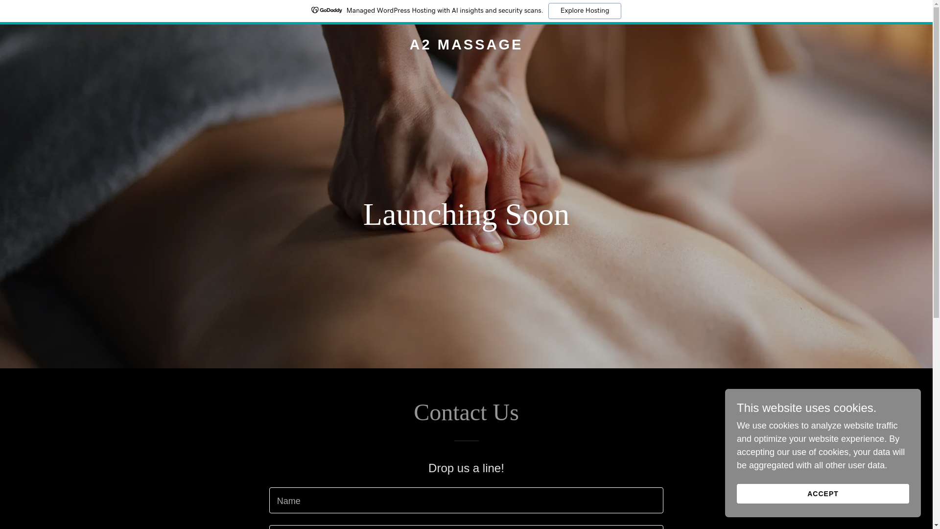 website screenshot of https://a2massagetherapy.com/