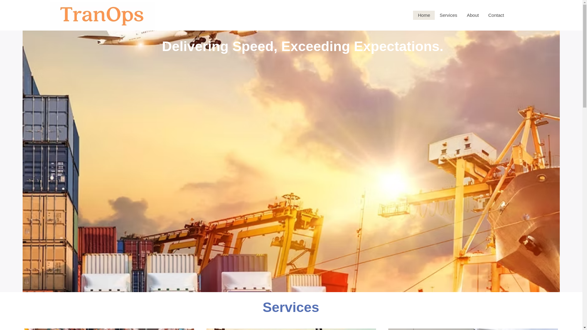 website screenshot of https://tranops.net/