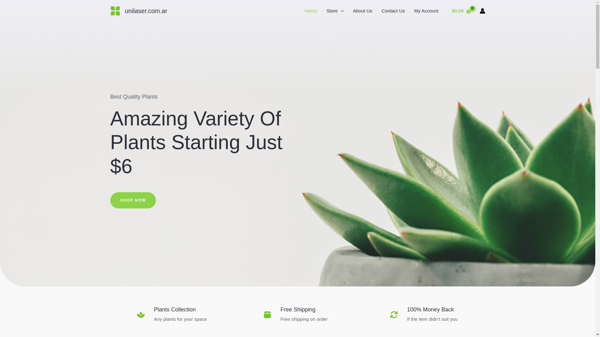 website screenshot of https://unilaser.com.ar/