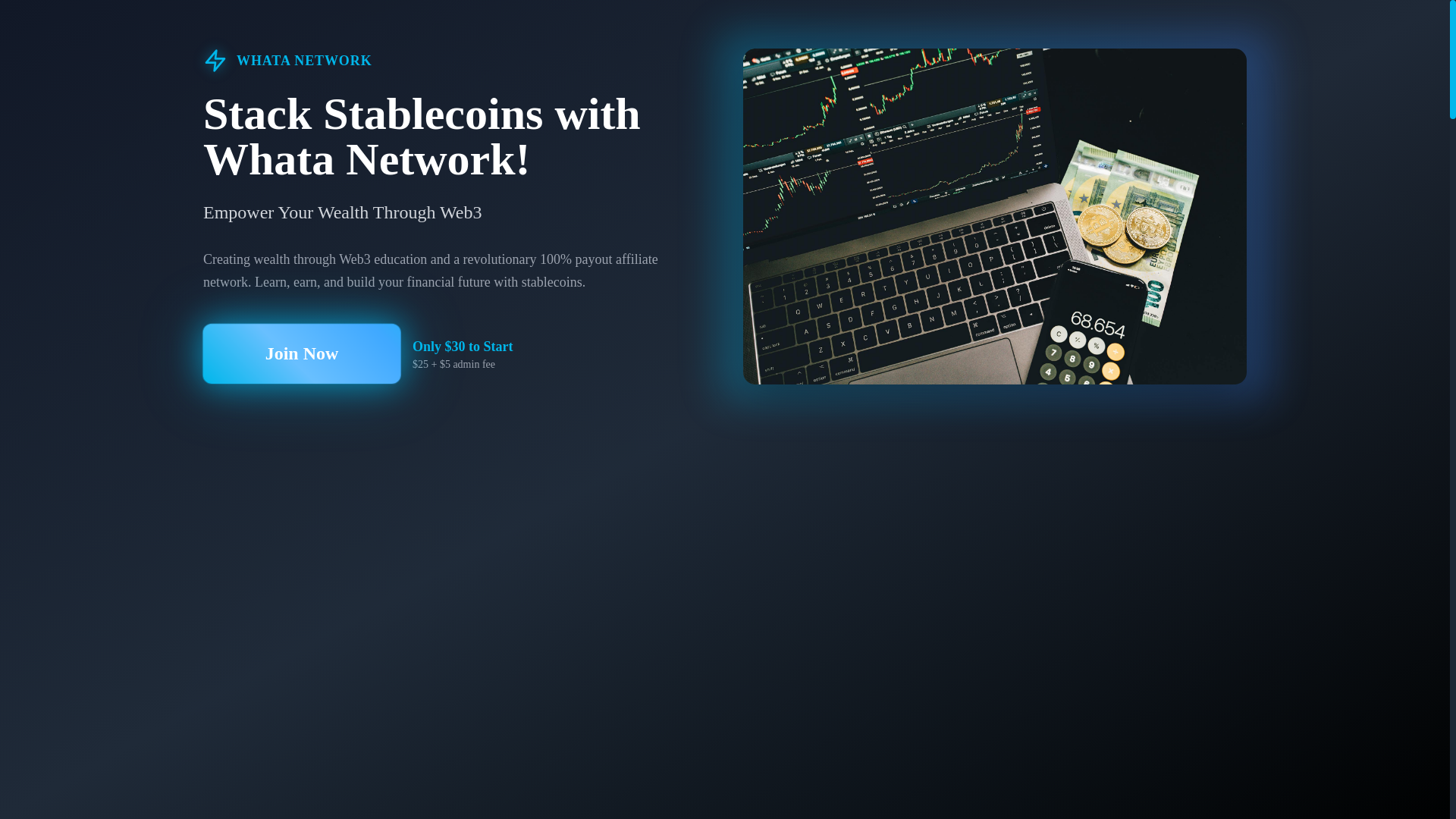 website screenshot of https://stackstablecoins.com/
