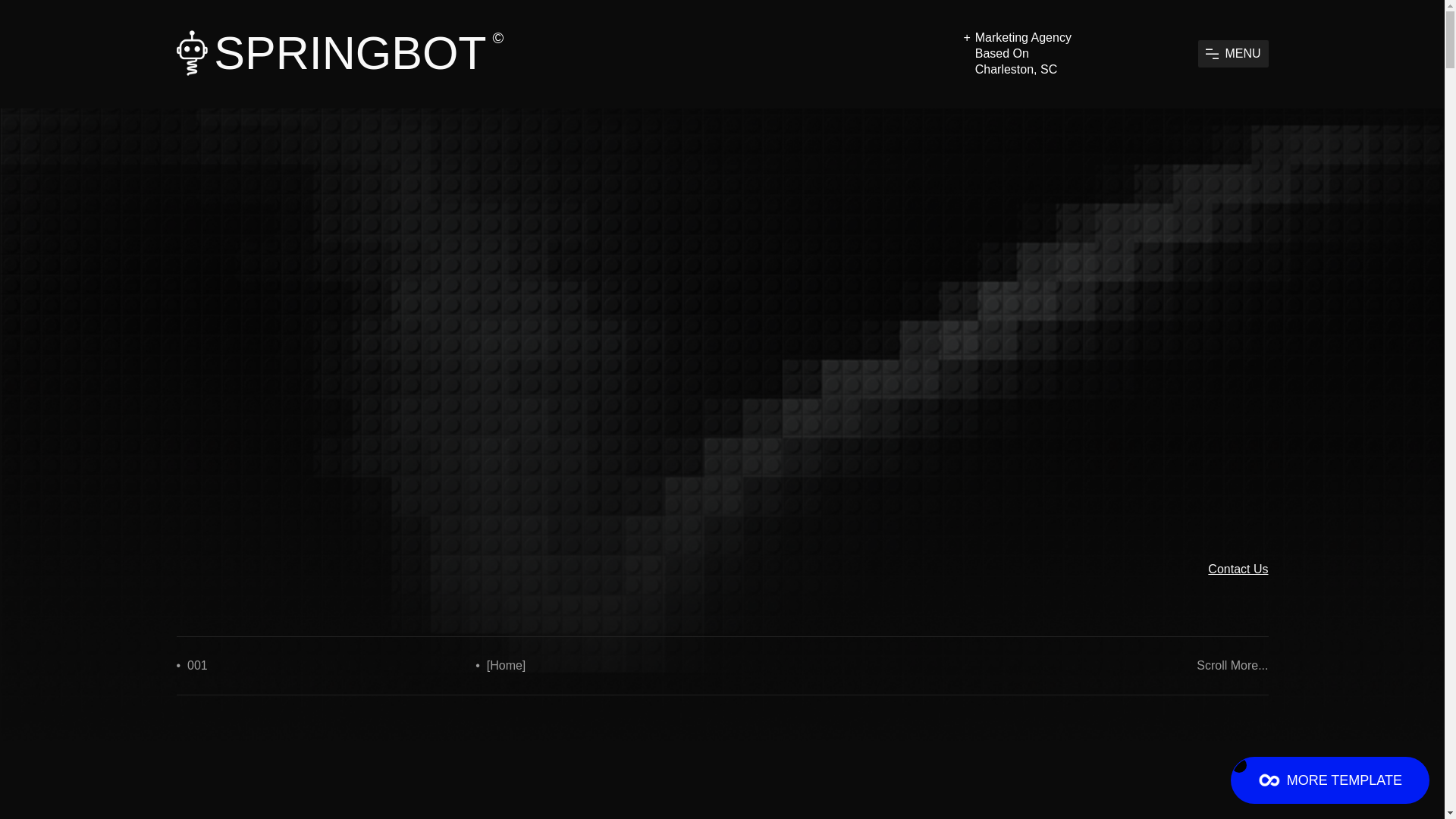 website screenshot of https://springbottest.xyz/