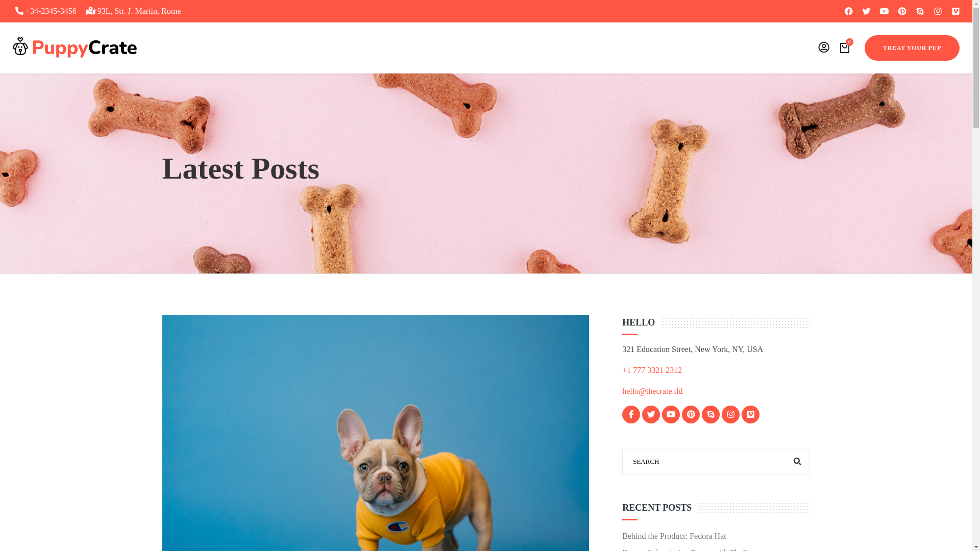 website screenshot of https://k9test.blog/